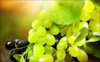 виноград кахет — описание сорта